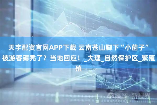 天宇配资官网APP下载 云南苍山脚下“小菌子”被游客薅秃了？当地回应！_大理_自然保护区_繁殖