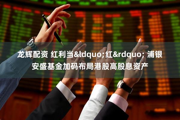 龙辉配资 红利当&ldquo;红&rdquo; 浦银安盛基金加码布局港股高股息资产